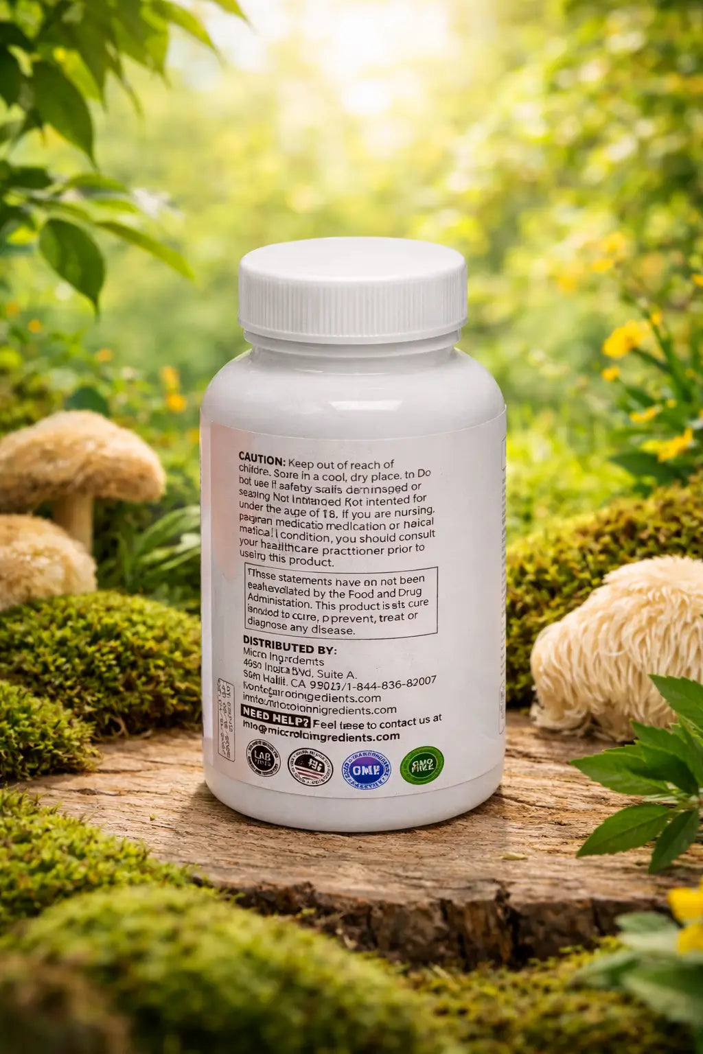 Melena de leon con  L-ergothioneine